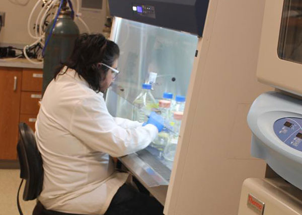 Engineer working with laboratory equipment Engineer working with laboratory equipment